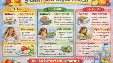 3 Gün Şok Diyet Listesi