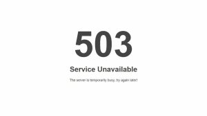 503 Durum Kodu Hatası ve Çözümü