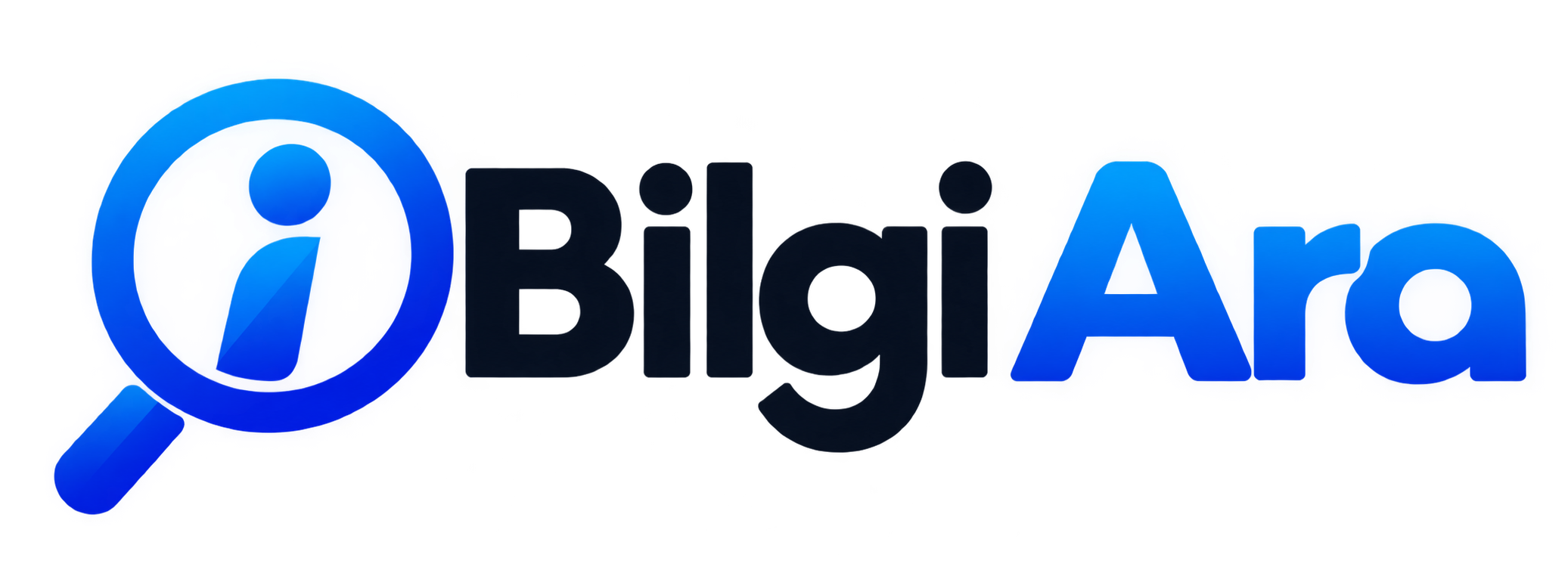 Bilgi Ara